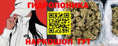 твердый Пушкино