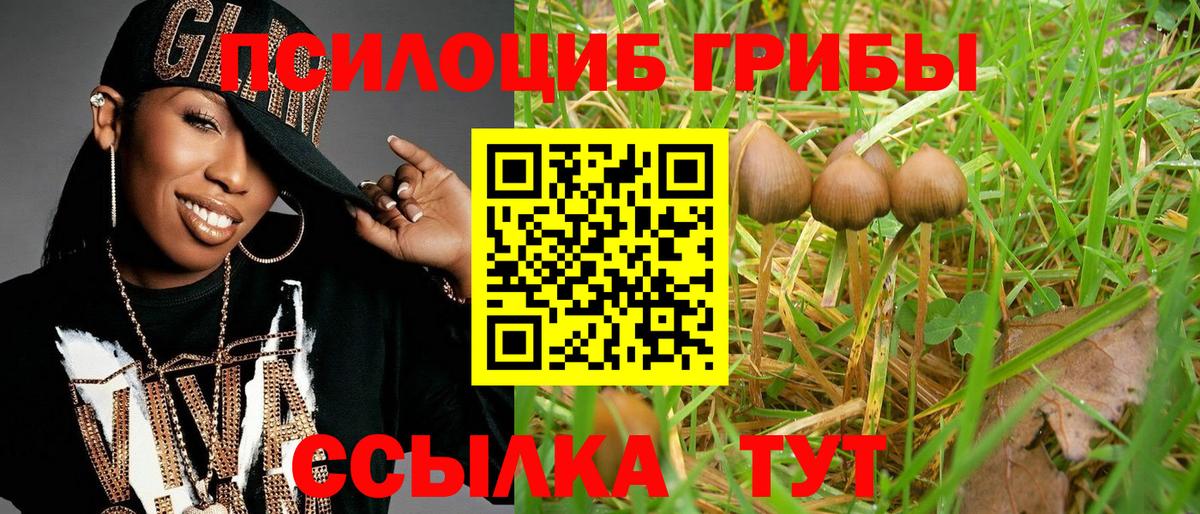 Псилоцибиновые грибы ЛСД  Вход с VPN  Воркута  Галлюциногенные грибы прущие грибы 