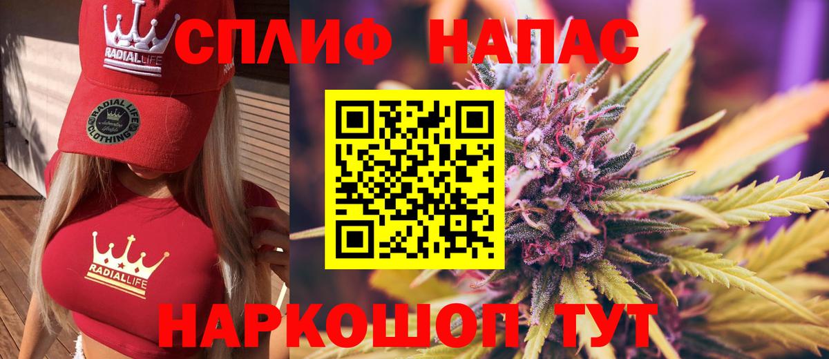 МЕФ Воркута